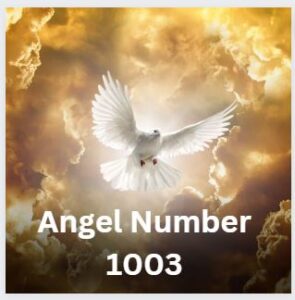 1003 Angel Number