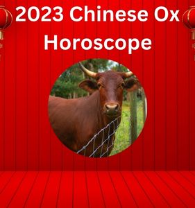 2023 Chinese Ox Horoscope