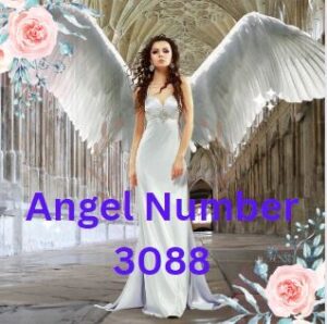 3088 Angel Number