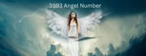 3993 Angel Number