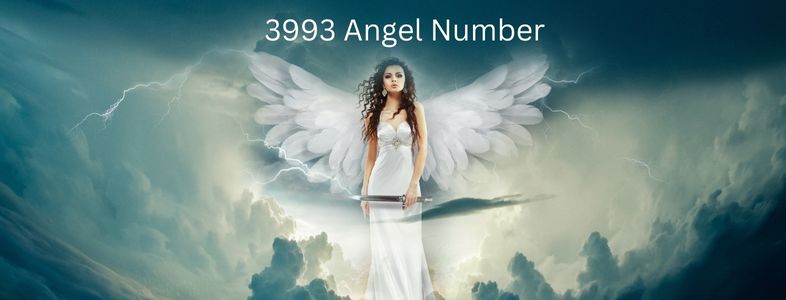 angel number 3993 meaning