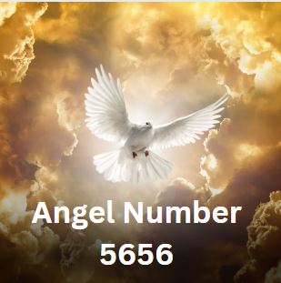 5656 angel number