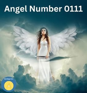 Angel Number 0111