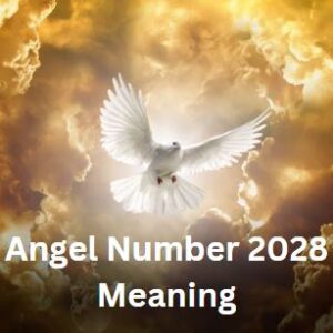 Angel Number 2028