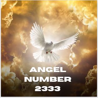 Angel Number 2333
