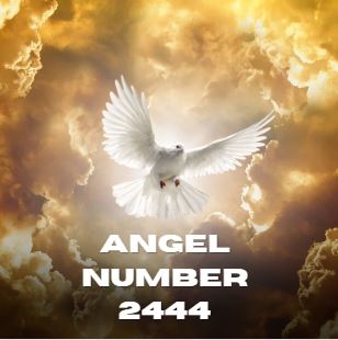Angel Number 2444
