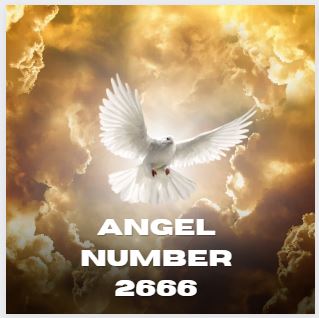 Angel Number 2666