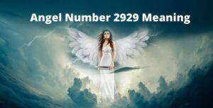 Angel Number 2929 Meaning
