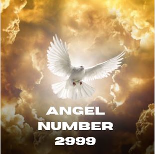 Angel Number 2999