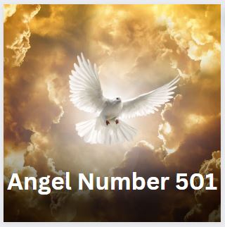Angel Number 501