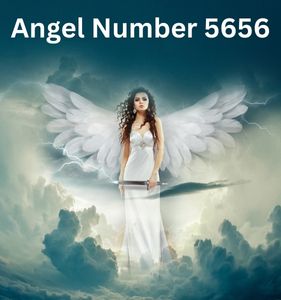Angel Number 5656