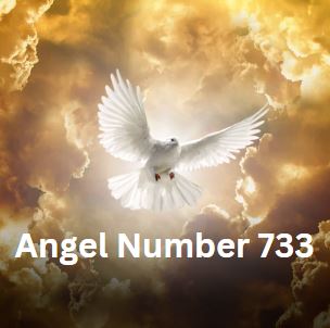 Angel Number 733