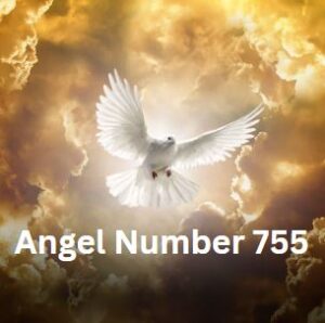 Angel Number 755