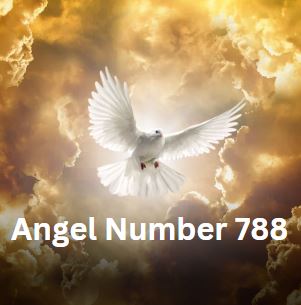 Angel Number 788