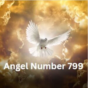 Angel Number 799