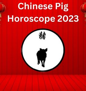 Chinese Pig Horoscope 2023