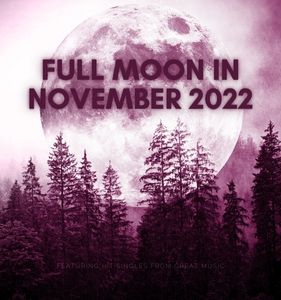 Full Moon in November 2022