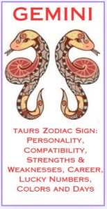 Gemini Zodiac Sign