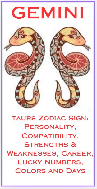 Gemini Zodiac Sign
