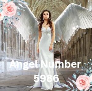Meaning of the Angel Number 5986