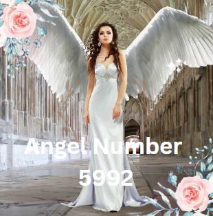 Meaning of the Angel Number 5992