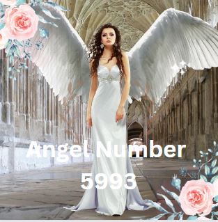 Meaning of the Angel Number 5993