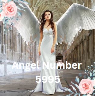 Meaning of the angel number 5995