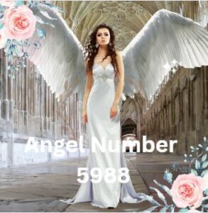 Meaning of the angel number 5998
