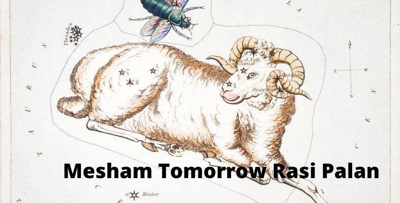 Mesham Tomorrow Rasi Palan