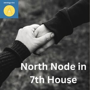 North Node in 7th House