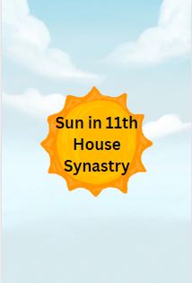 Sun in 11th House Synastry