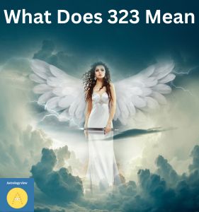 323 Angel Number