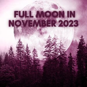 When is Full Moon in November 2023